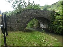 ST2391 : Footbridge to Cwmbyr Farm over Monmouthshire and Brecon Canal by David Smith