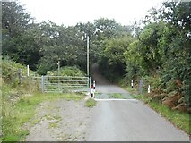 ST2491 : Cattle grid on road past Maesmawr by David Smith