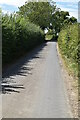 Lane west of Honeywood Farm