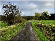 H3479 : Cloonty Road, Envagh by Kenneth  Allen