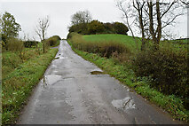 H4968 : Rath along Crevenagh Road by Kenneth  Allen