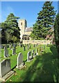 Trumpington churchyard in November