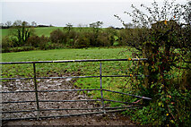 H4968 : A gate to muddy field, Camowen by Kenneth  Allen
