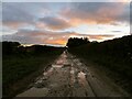 Sunset on the lane to Carreghofa Hall