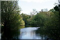 Chislehurst Common