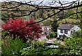 Houses at Coalford