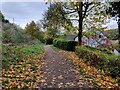 The Severn Way at Coalford