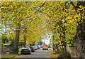 The Avenue, Ross-on-Wye