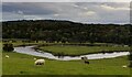 River Severn near Leighton