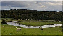 SJ6104 : River Severn near Leighton by Mat Fascione