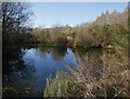 NH5152 : Pond in the old quarry, by Urray by Craig Wallace