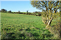 Freughmore Townland