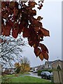 TF0820 : Autumn colour by Bob Harvey