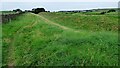 NY6466 : Hadrian's Wall ditch at Green Croft by Sandy Gerrard