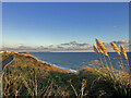 SZ1391 : Golden Hour at Southbourne Overcliff (2) by Mike Searle