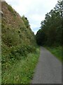 Cycle track on old railway through Talywain