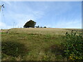 Hillside grazing above the A6088