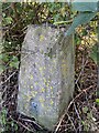 Brills Farm Trig Point Flush Bracket S4908