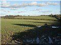 Farmland to the north of the M4 near Stormy Down