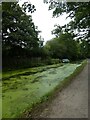 Monmouthshire and Brecon Canal