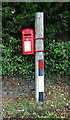 George VI postbox, Cauldmill