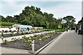 RHS Bridgewater, Old Frameyard/Trials Area: Many hydrangea varieties being tested