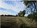 Stubble field alongside Green Lane