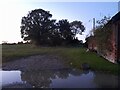 Muddy field by Fox Road, Mashbury