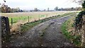 Entrance track to Tally Ho Farm