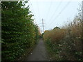 Urban path under the power lines