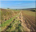 Looking east near High Pastures