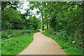 Path, Riverside Garden Park, Horley