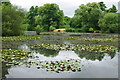 Gatwick Lake, Riverside Garden Park, Horley