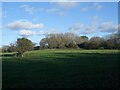 Wooded countryside by Ballas Farm, near Stormy Down