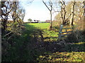 Llwybr i Saint-y-brid / Path to St Brides Major