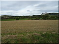 Stubble field, Teviotdale