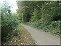 Footpath and cycleway behind Merlin Way
