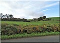 NZ0747 : Field beside Healeyfield Lane by Robert Graham