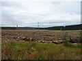 Felled woodland near Huntford