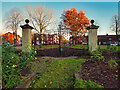 Poppies on the ELPM Gates