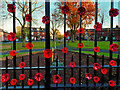 Poppies on the Gates