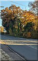 Autumn colours, Gwehelog, Monmouthshire