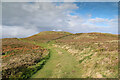 Tracks on Moel Unben