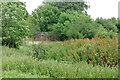 Pillbox across small field from River Mole