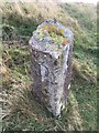 NZ6707 : Old Boundary Marker on New Road by D Garside