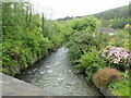 Afon Leri River