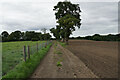 SD6028 : Farm track near Cardwell's Farm by Bill Boaden
