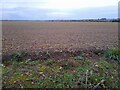 Field by Wych Elm Lane, Woolmer Green