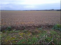 TL2419 : Field by Wych Elm Lane, Woolmer Green by David Howard