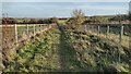 Bridleway joining the Byway